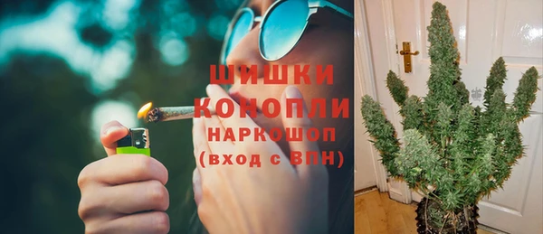 прущие грибы Билибино