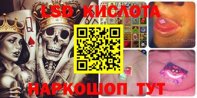 стаф Берёзовский
