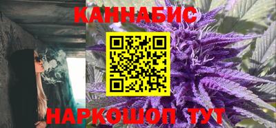 шишки Абакан