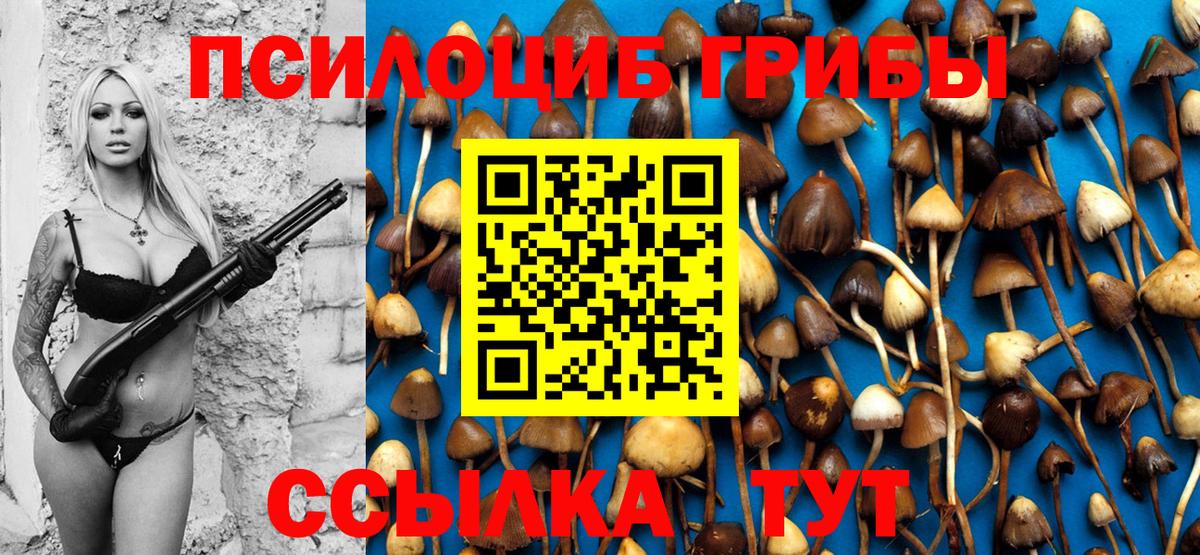 Галлюциногенные грибы Psilocybine cubensis  Вход с VPN  Пятигорск 