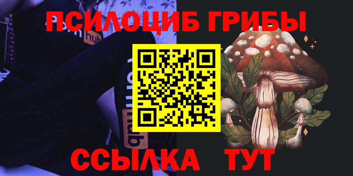 закладки  Галлюциногенные грибы GOLDEN TEACHER  Пятигорск  Галлюциногенные грибы MAGIC MUSHROOMS 