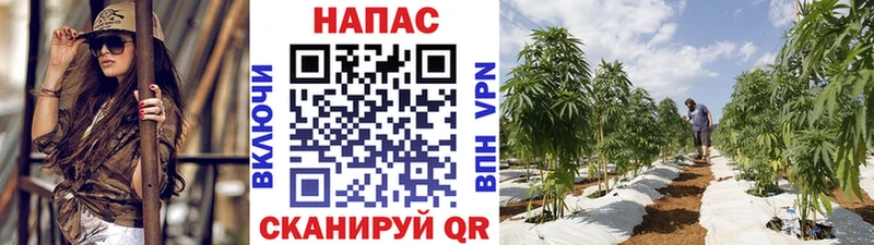 Каннабис гибрид  мориарти какой сайт  Пятигорск 