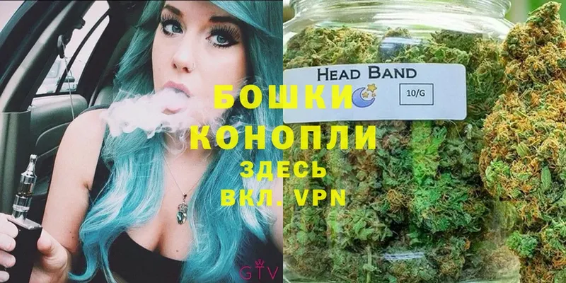 Бошки Шишки THC 21%  даркнет формула  Пятигорск 